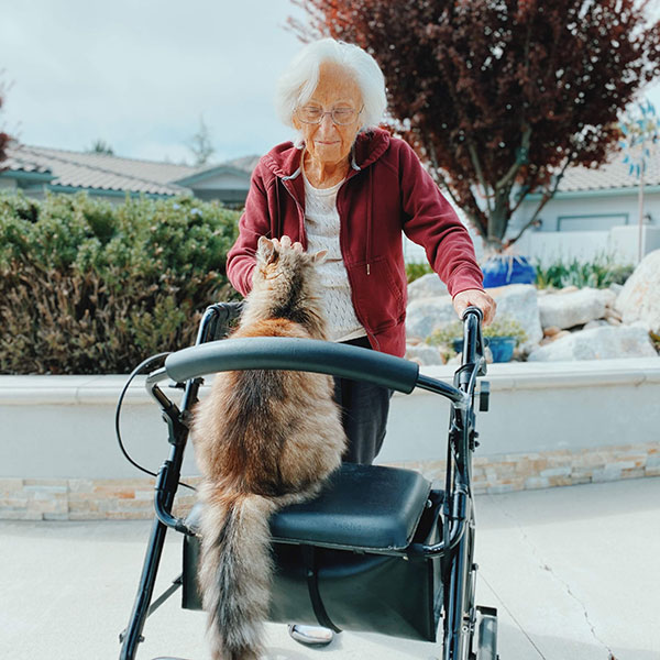 Ada's Lodges Assisted Living Daily Activities - Healthy Lifestyle - Exercise - Games - Recreation - Elder Care Paso Robles CA - Assisted Living Paso Robles - Mission Lodge